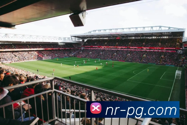 pg电子平台生态图